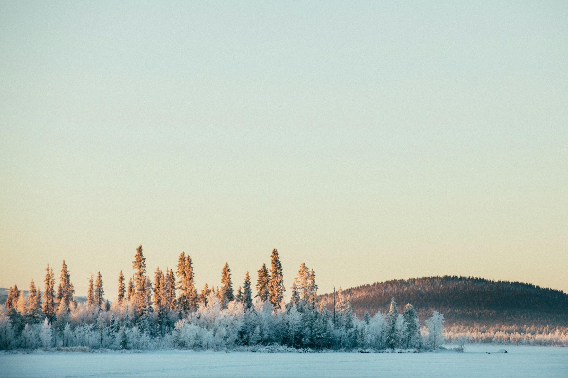 Snowy Landscape